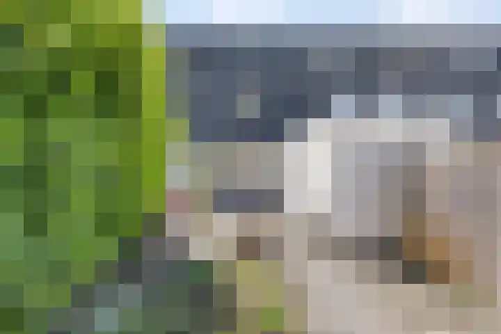 Kruidenlaan 64 Doetinchem thumbnail 32
