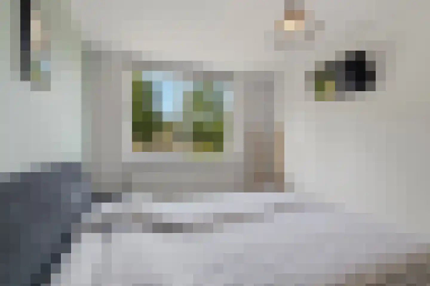 Kruidenlaan 66 Doetinchem thumbnail 25