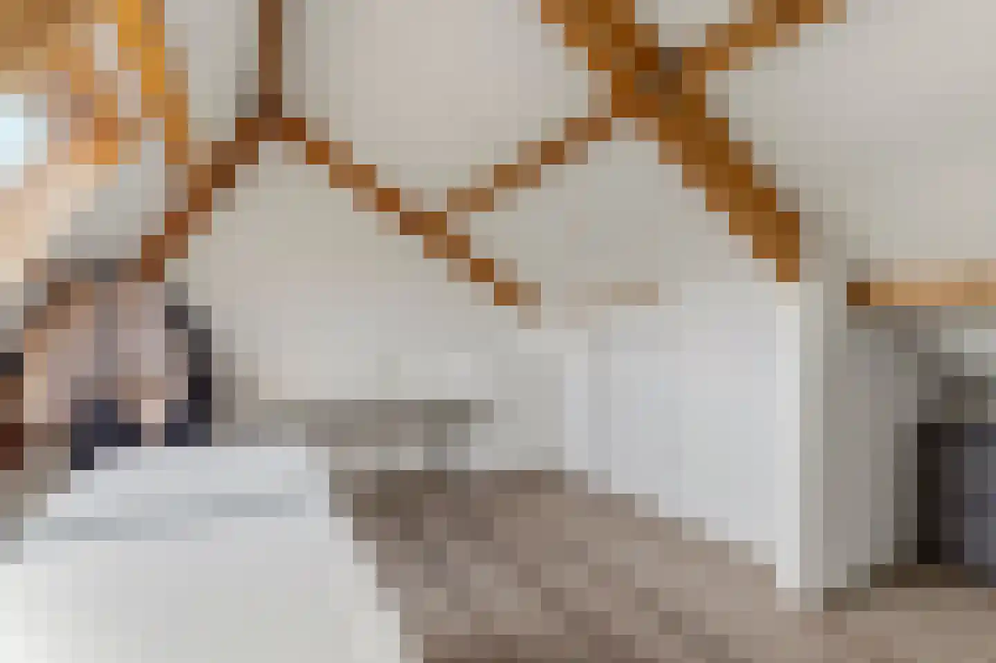 Kruidenlaan 66 Doetinchem thumbnail 36