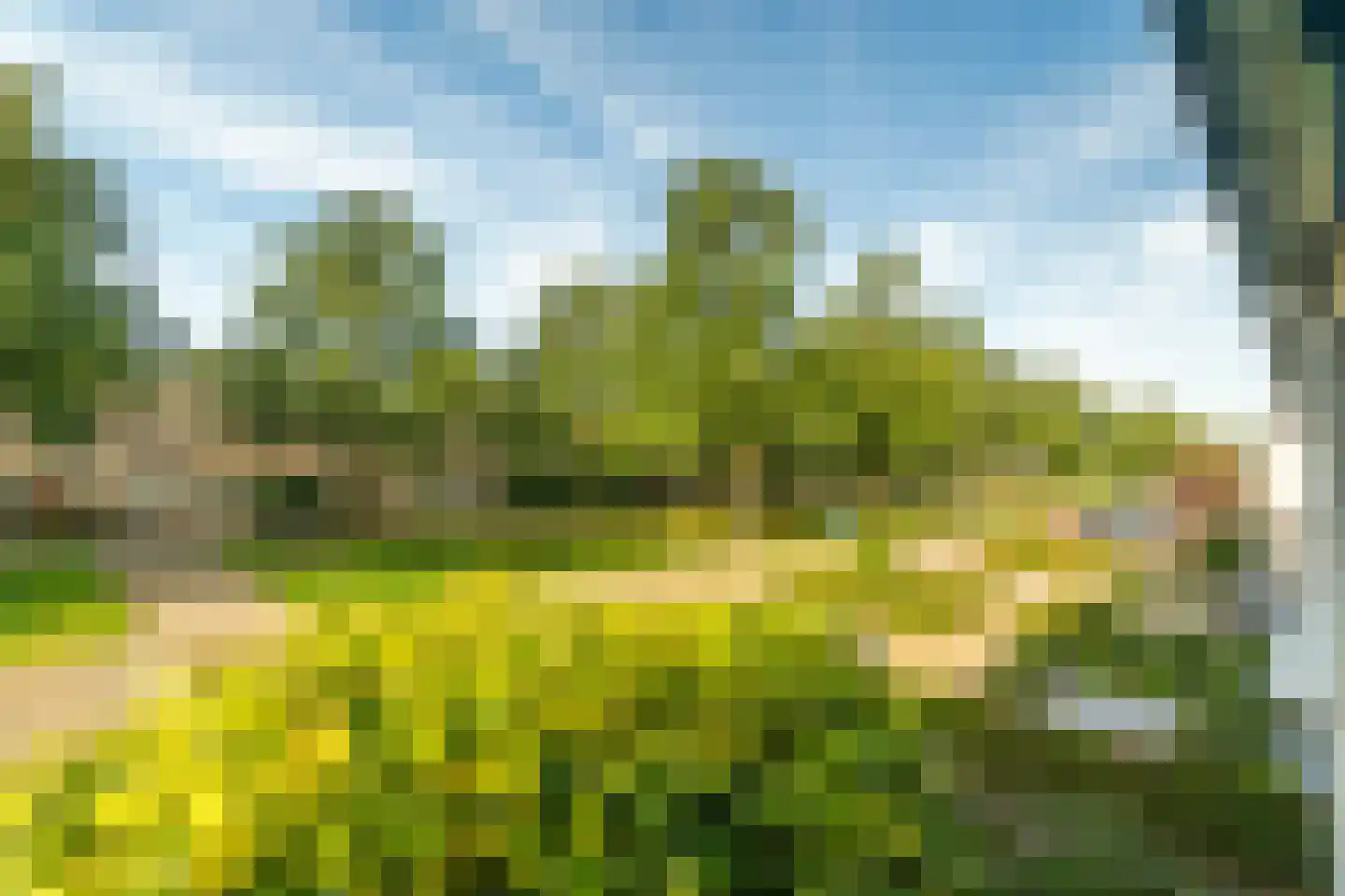 Kruidenlaan 66 Doetinchem thumbnail 38