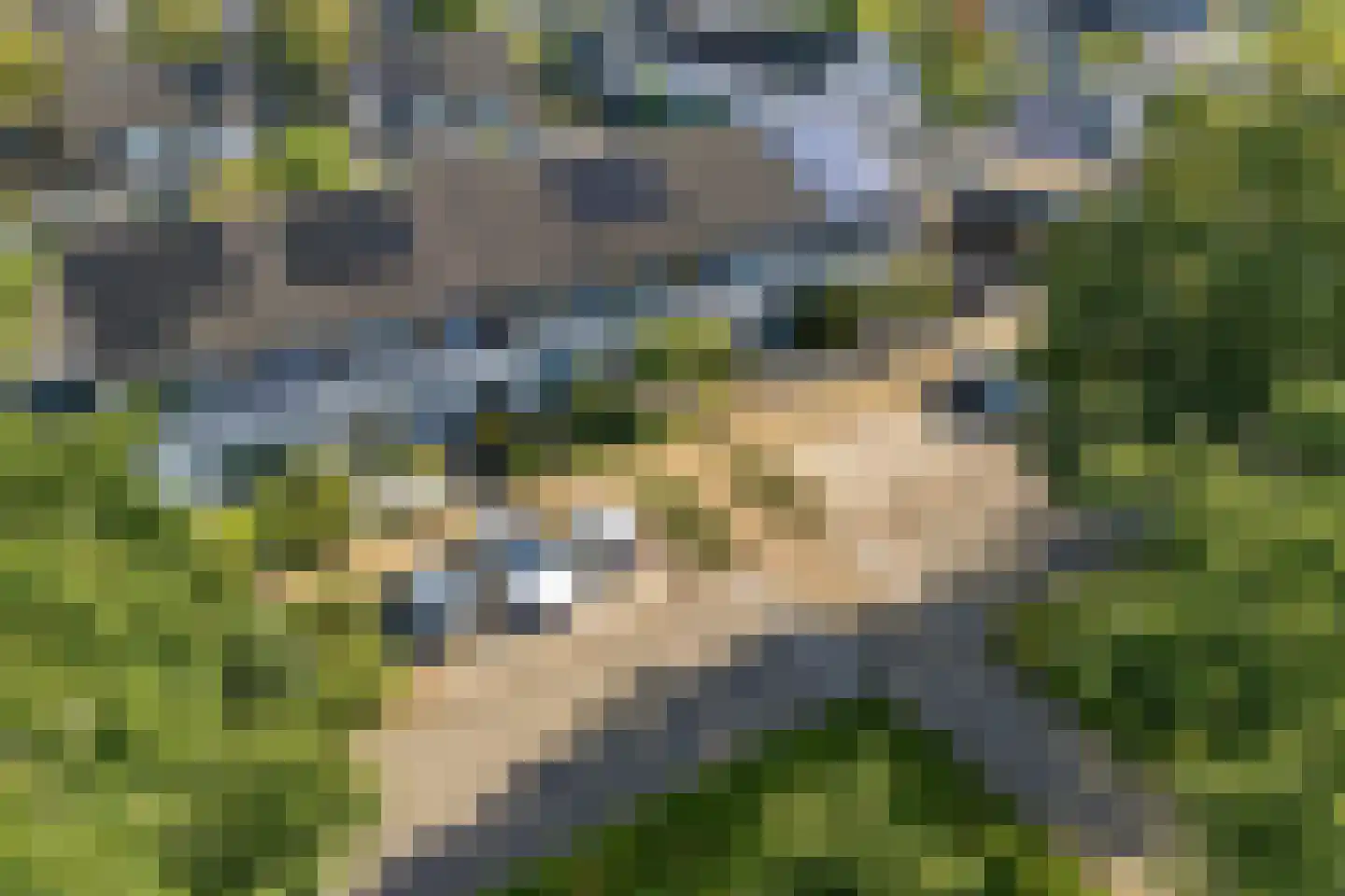 Kruidenlaan 66 Doetinchem thumbnail 43