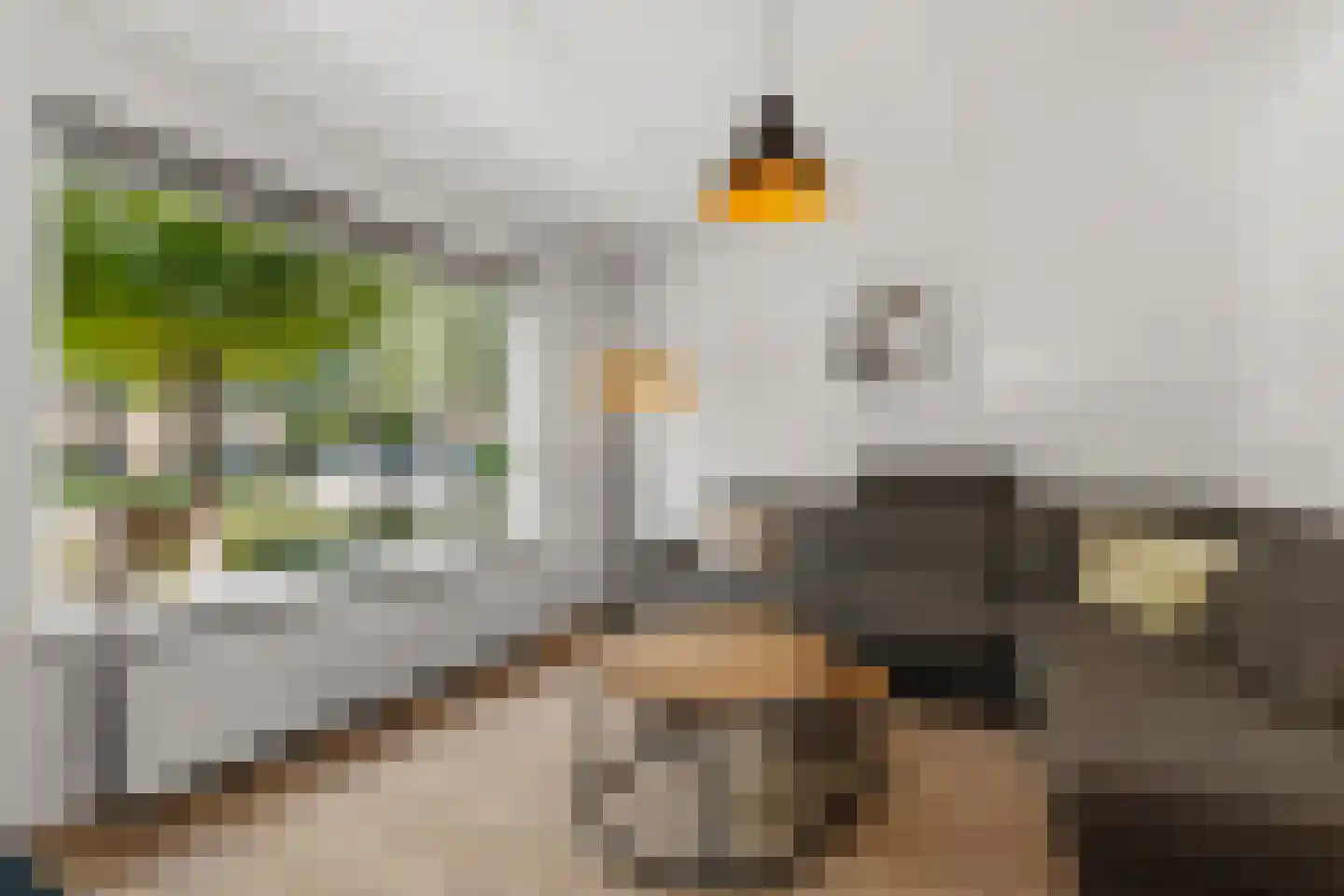 Kruidenlaan 66 Doetinchem thumbnail 6