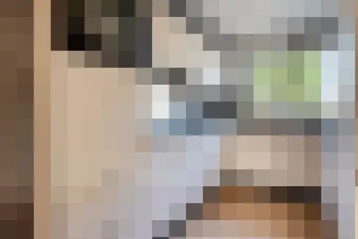 Kruidenlaan 68 Venray thumbnail 11