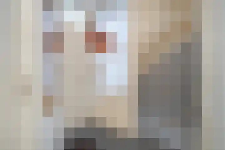 Kruidenlaan 68 Venray thumbnail 14