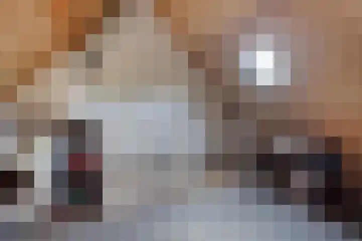 Kruidenlaan 68 Venray thumbnail 19