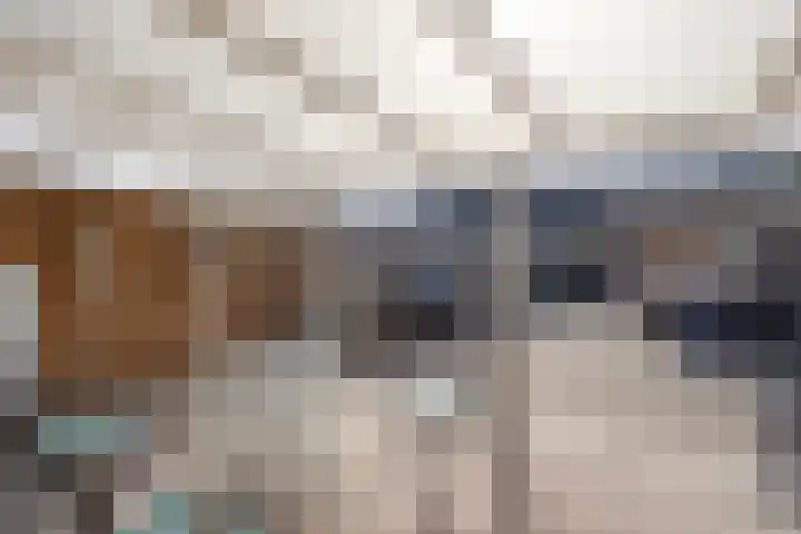 Kruidenlaan 68 Venray thumbnail 20