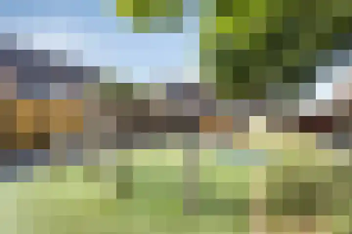 Kruidenlaan 68 Venray thumbnail 24