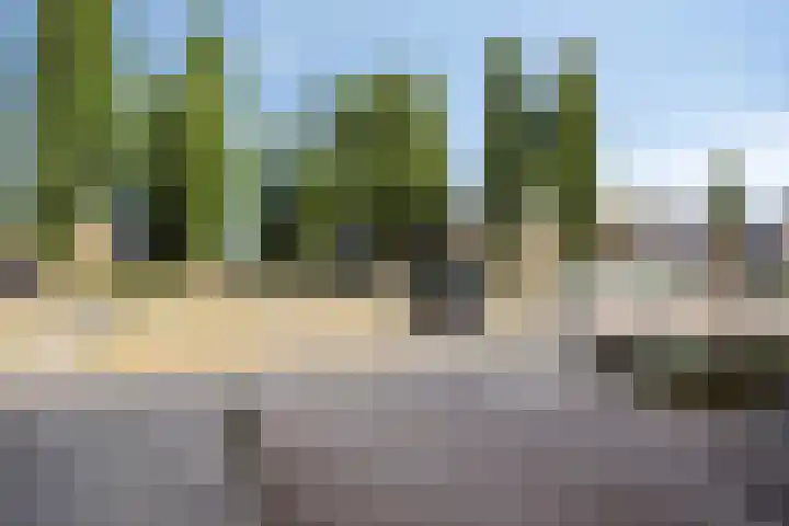 Kruidenlaan 68 Venray thumbnail 25