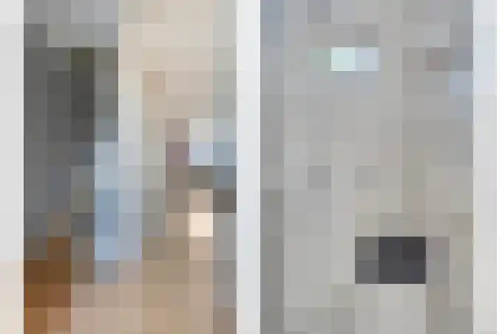 Kruidenlaan 68 Venray thumbnail 5