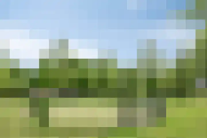 Kruidenlaan 71 Sint-Oedenrode thumbnail 33
