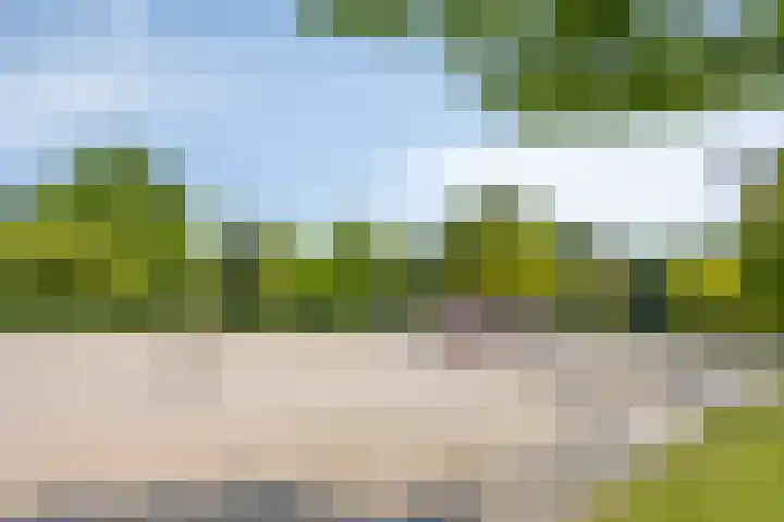 Kruidenlaan 71 Sint-Oedenrode thumbnail 34