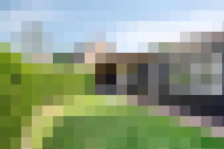 Kruidenlaan 71 Sint-Oedenrode thumbnail 4