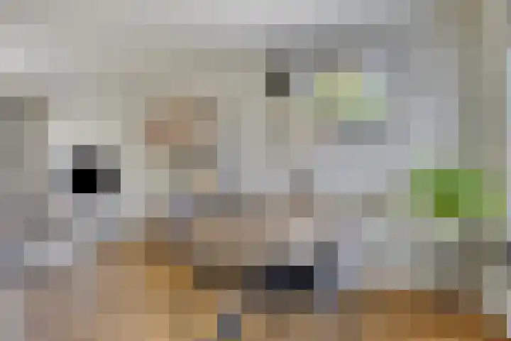 Kruidenlaan 71 Sint-Oedenrode thumbnail 9