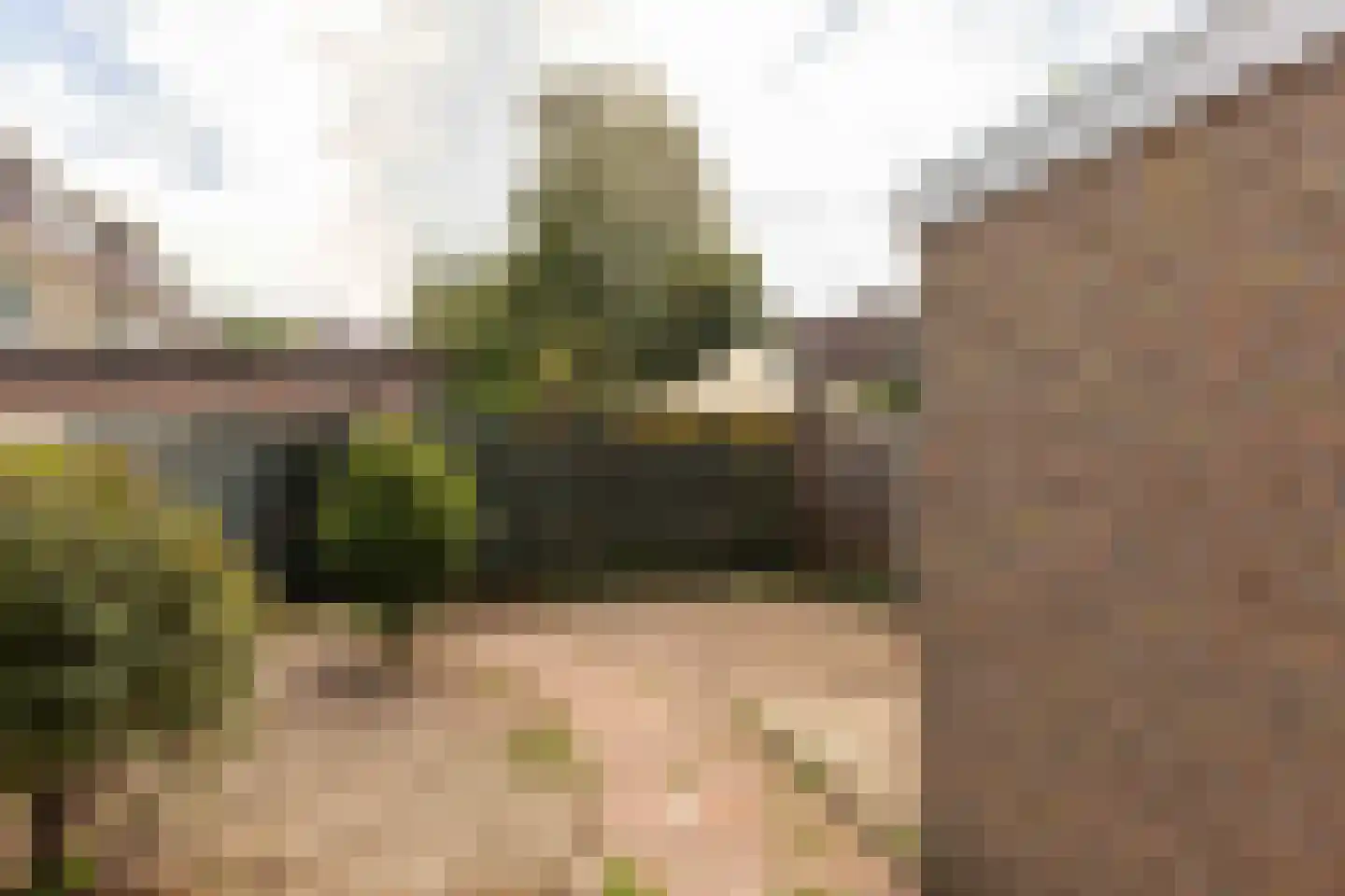 Kruidenlaan 72 Nijverdal thumbnail 22
