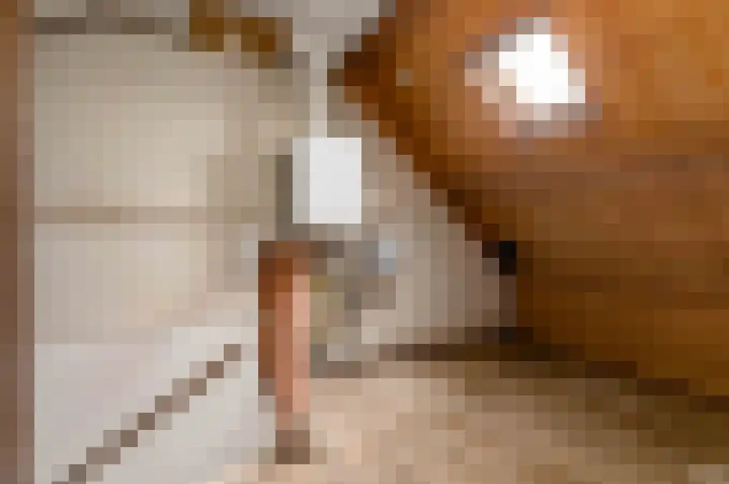 Kruidenlaan 72 Nijverdal thumbnail 32