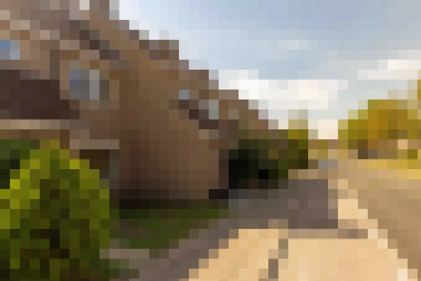 Kruidenlaan 72 Nijverdal thumbnail 6