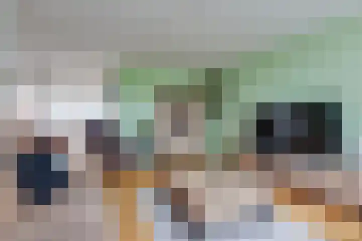 Kruidenlaan 94 Doetinchem thumbnail 10