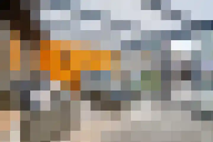 Kruidenlaan 94 Doetinchem thumbnail 36