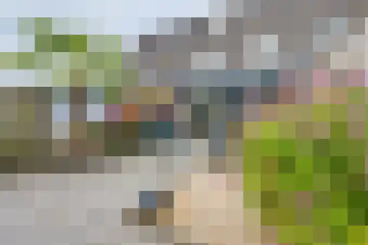 Kruidenlaan 94 Doetinchem thumbnail 46