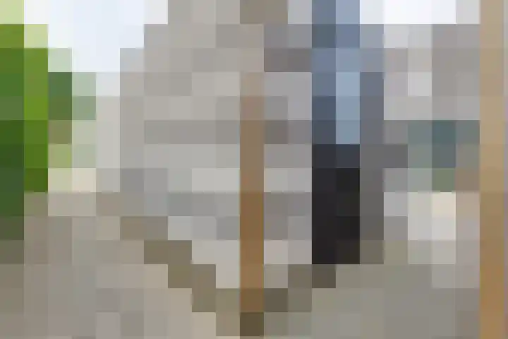 Kruidenlaan 94 Doetinchem thumbnail 51