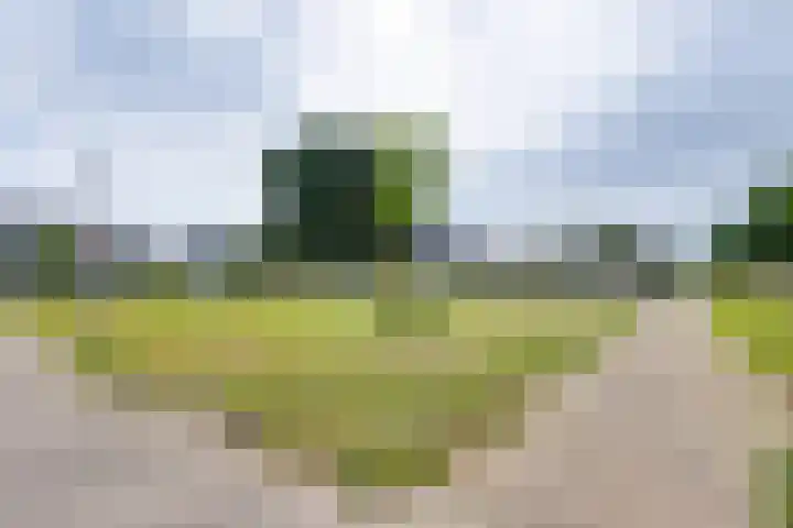 Kruidenlaan 94 Doetinchem thumbnail 52