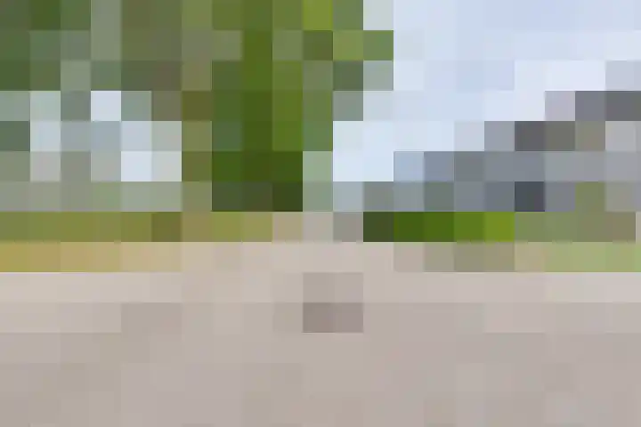Kruidenlaan 94 Doetinchem thumbnail 54