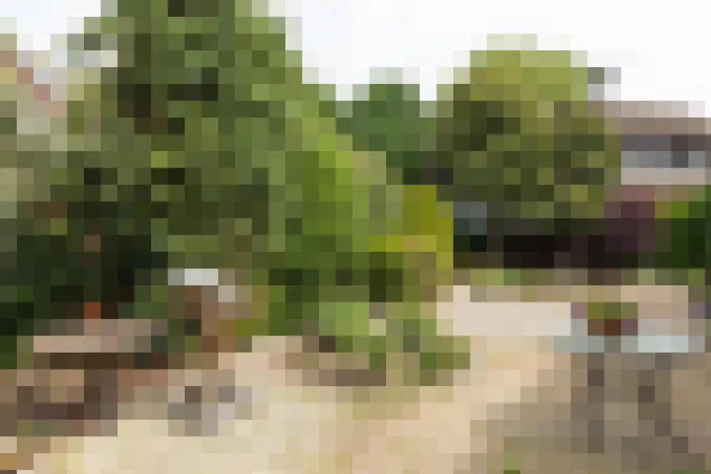 Kruidenmeent 8 Hilversum thumbnail 24