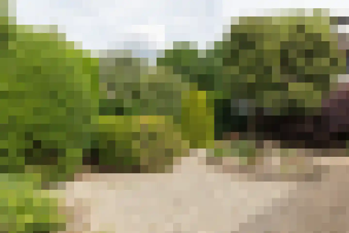 Kruidenmeent 8 Hilversum thumbnail 25