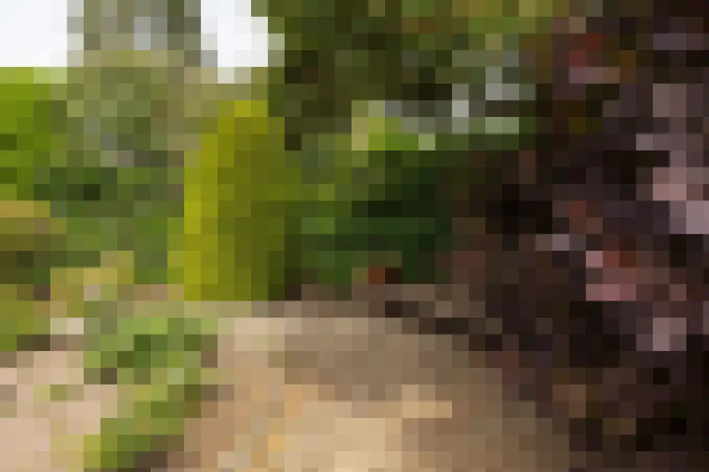 Kruidenmeent 8 Hilversum thumbnail 26