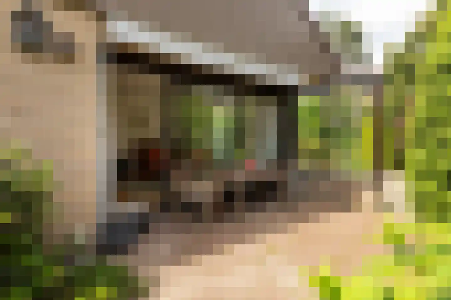Kruidenmeent 8 Hilversum thumbnail 31