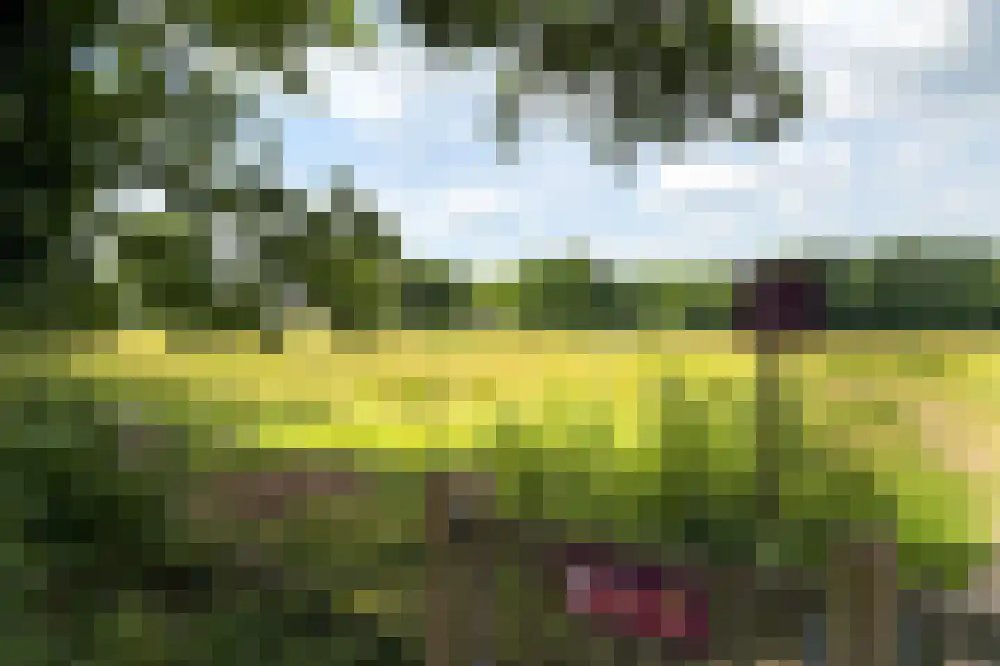 Kruidenmeent 8 Hilversum thumbnail 34