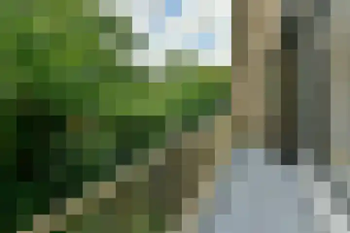 Kruidenommegang 18 Duivendrecht thumbnail 12