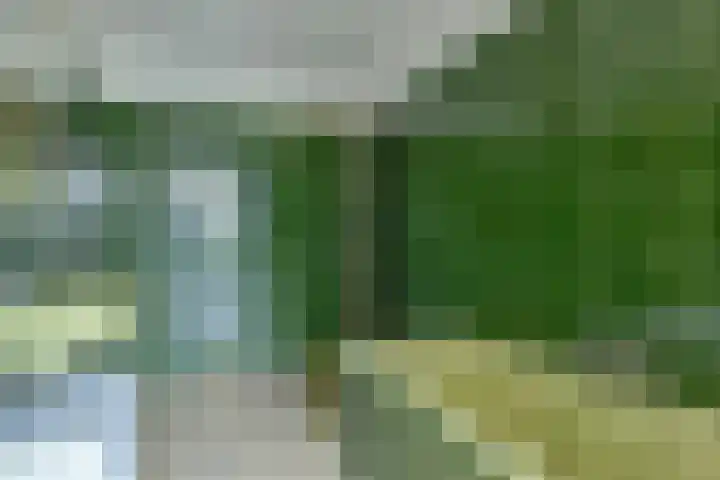 Kruidenommegang 18 Duivendrecht thumbnail 18