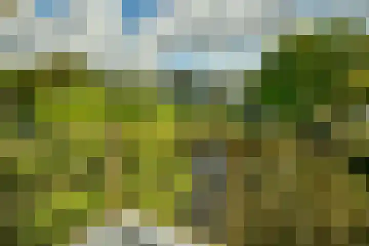 Kruidenommegang 18 Duivendrecht thumbnail 22