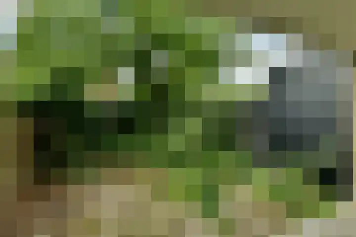 Kruidenommegang 18 Duivendrecht thumbnail 7