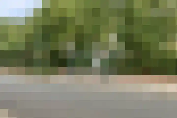Kruidenommegang 43 Duivendrecht thumbnail 28