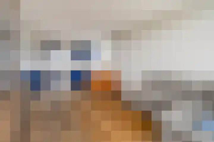Kruidenommegang 43 Duivendrecht thumbnail 5
