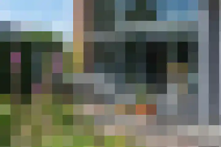 Kruidenommegang 57 Duivendrecht thumbnail 17