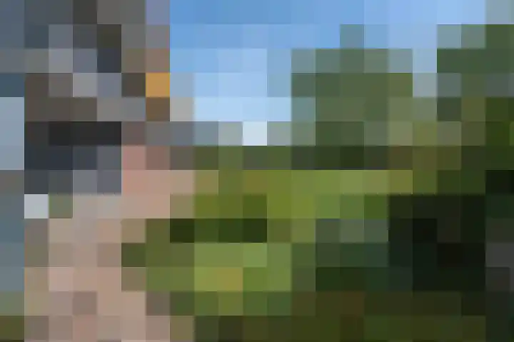 Kruidenommegang 57 Duivendrecht thumbnail 33