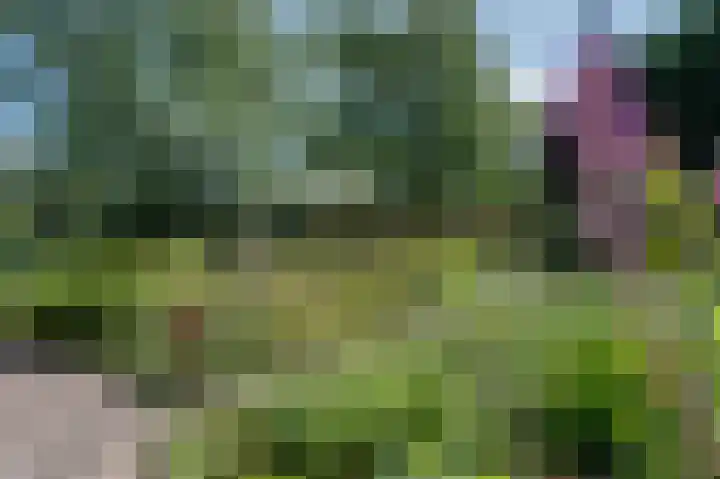 Kruidenommegang 57 Duivendrecht thumbnail 34