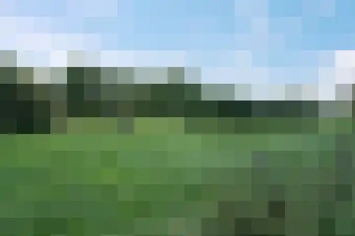 Kruidenommegang 57 Duivendrecht thumbnail 36