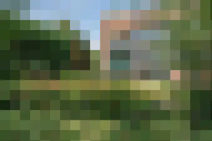 Kruidenommegang 57 Duivendrecht thumbnail 37