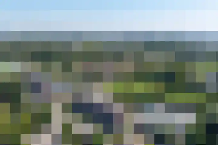 Kruidenommegang 57 Duivendrecht thumbnail 41
