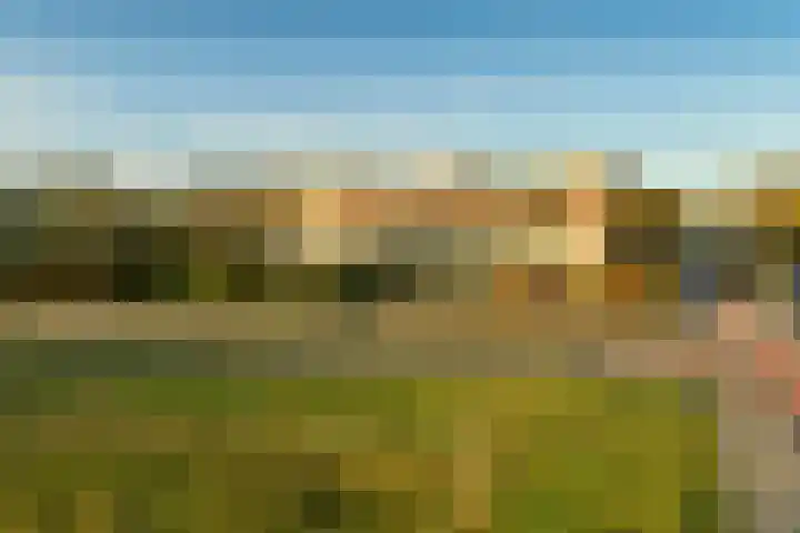 Kruidenommegang 68 en Duivendrecht