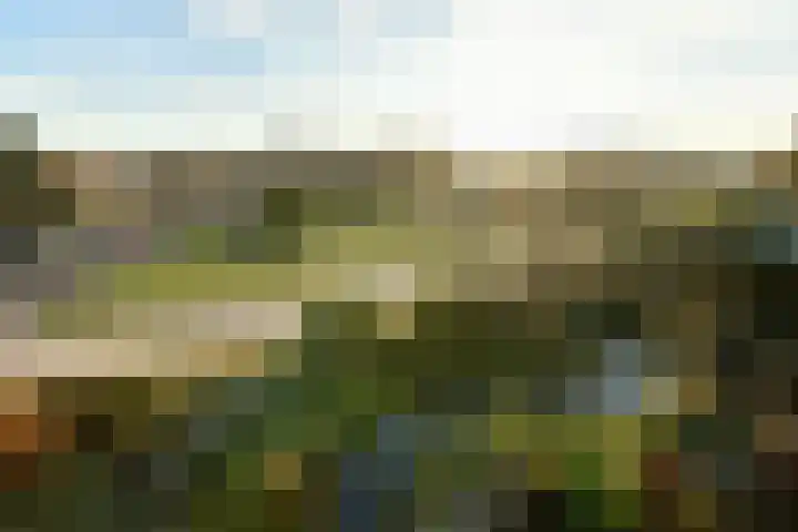 Kruidenommegang 68 Duivendrecht thumbnail 15