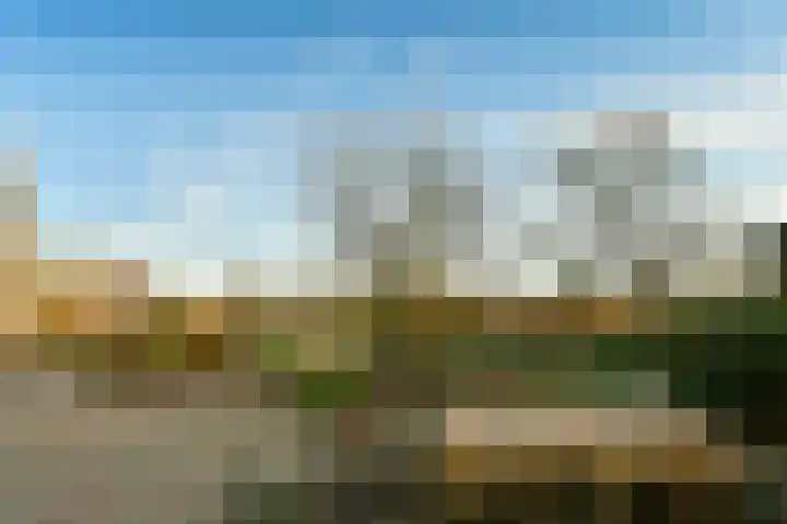 Kruidenommegang 68 Duivendrecht thumbnail 17