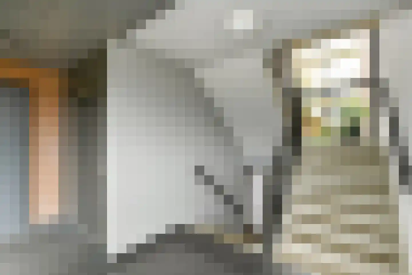 Kruidenplein 28 Arnhem thumbnail 26