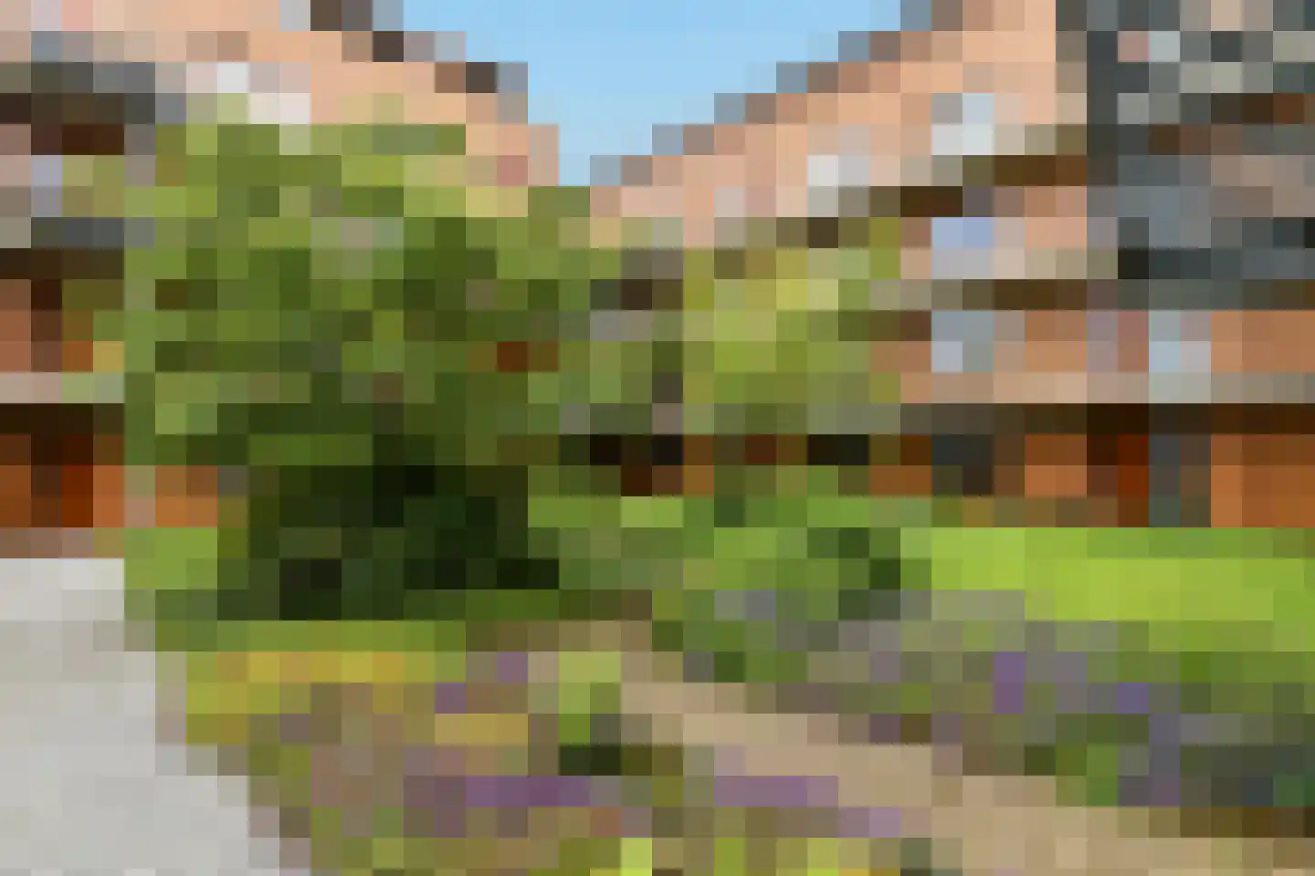Kruidenplein 28 Arnhem thumbnail 35