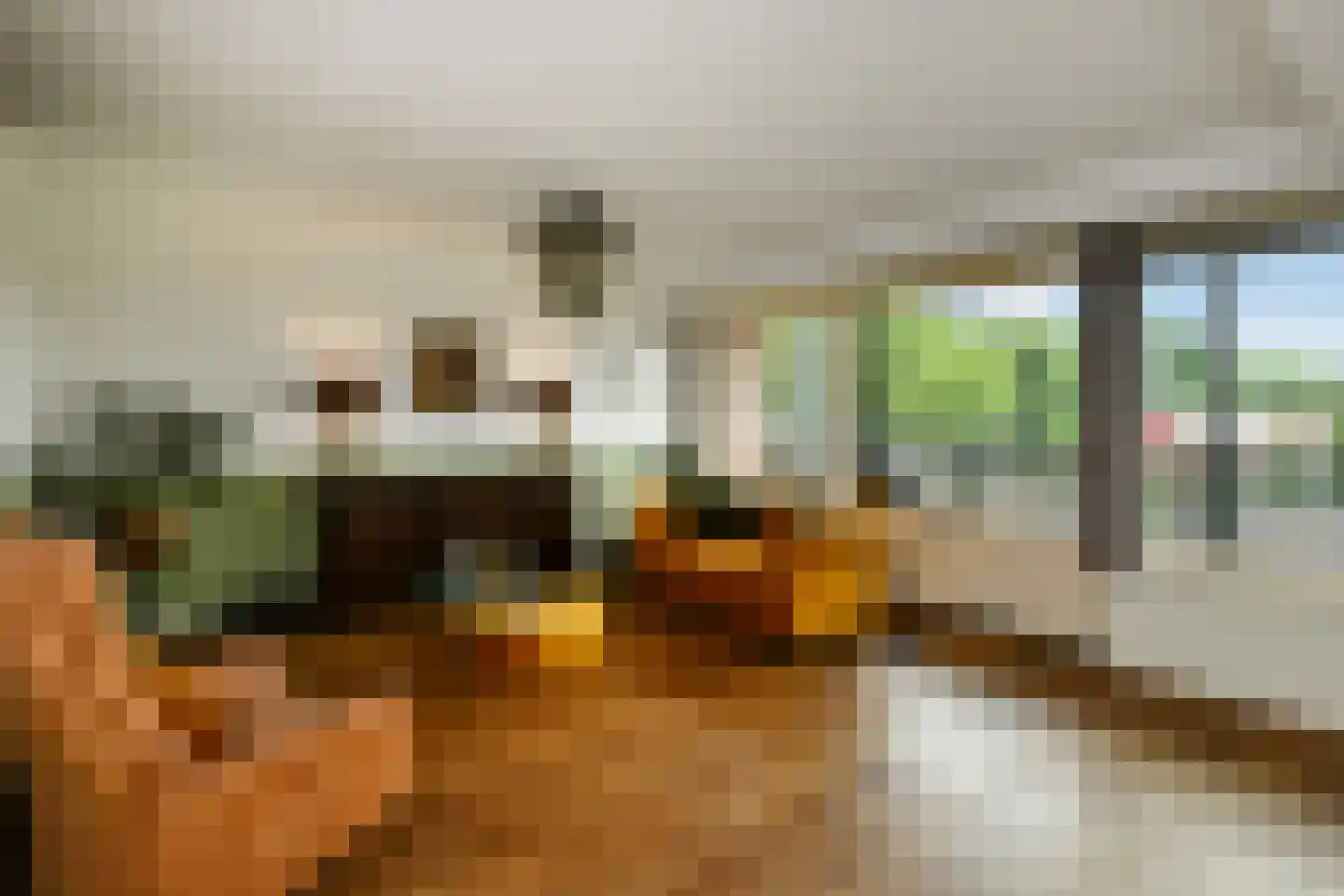 Kruidenplein 28 Arnhem thumbnail 5
