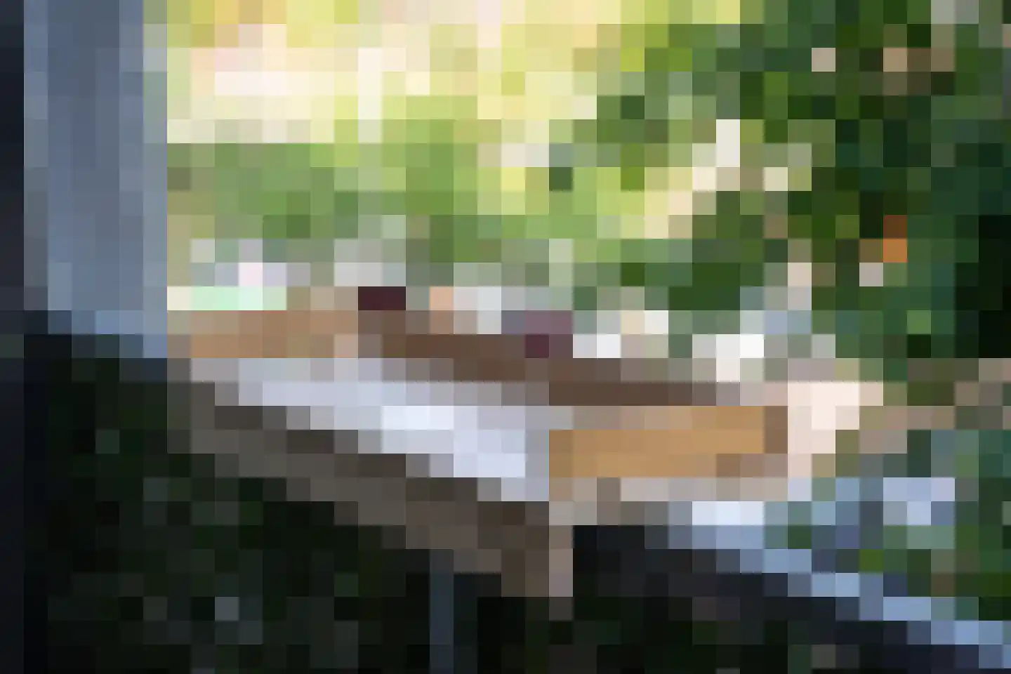 Kruidenplein 60 Arnhem thumbnail 14